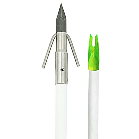 White Fish Arrow with Carp Point