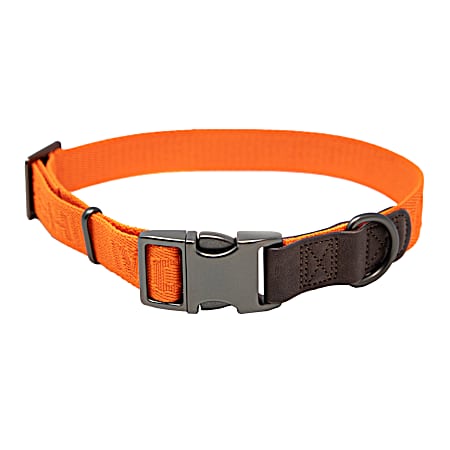 Adjustable Dog Collar (15in-23in) - Hunter Orange
