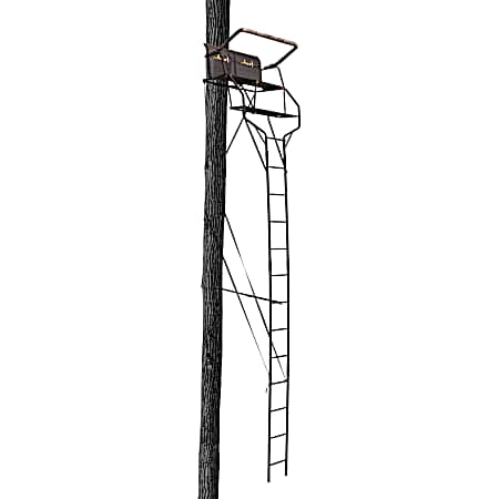 18 ft Double Droptine Two Man Ladder Stand