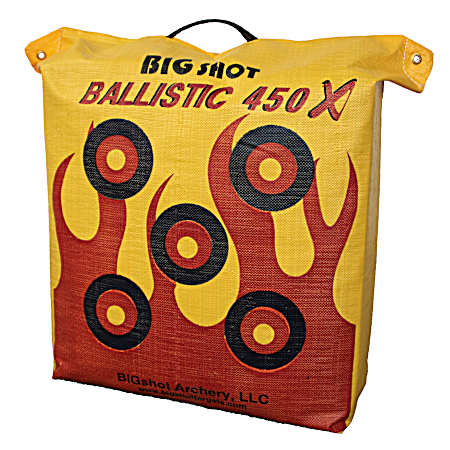 Ballistic 450X Bag Target