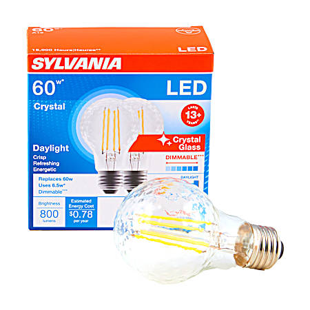 A19 Daylight LED Light Bulbs - 2 Pk