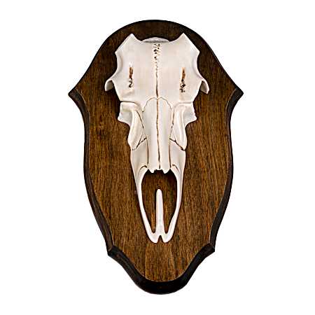 Black Forest Antler Mounting Kit - Natural Causes