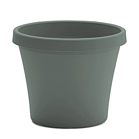 8 in Planter - Basil
