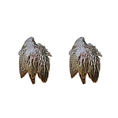 Pheasant Wings Dog Training Dummies - 2 Pk