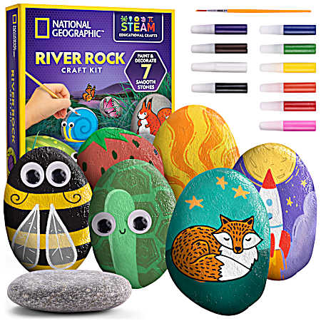 Rock Painting Activity Kit