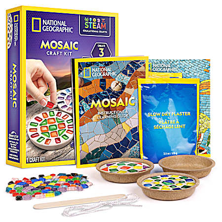 Mosaic Craft Kit
