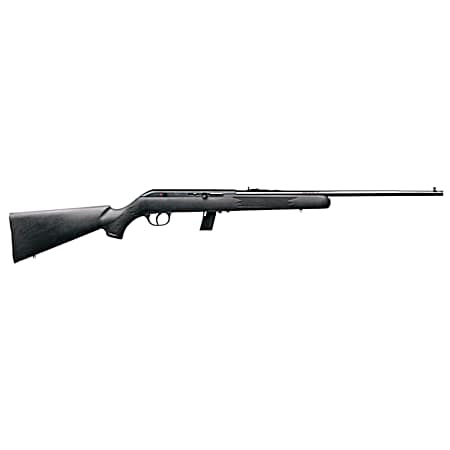 Model 64 F .22 LR Black Semi-Auto Synthetic Stock Rifle