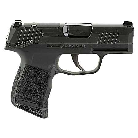 380 ACP P365 12-Round Black Pistol