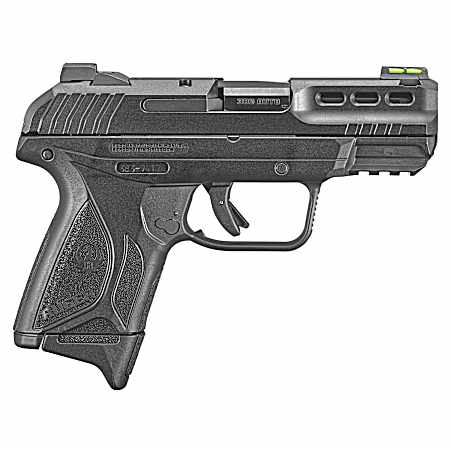 Security-380 Auto Black Pistol
