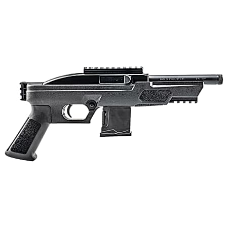 Rossi RS22P6BK RS22  22 LR 10+1 6 Black