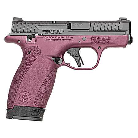 S&W BODYGRD 2.0 14661 TS H-319 BCF