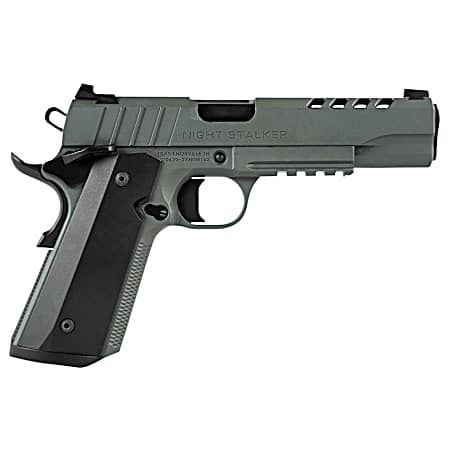 Tisas 10100512 1911 Night Stalker Full Size 45 ACP 8+1 5 Black Steel Ramped Barrel, Platinum Grey Cerakote Ported/Serrated Slide & Frame w/Picatinny Rail & Beavertail, Ambidextrous