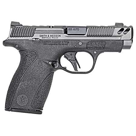 S&W BODYGRD 2.0 PC 14416 380 3.1 10/12R GRY/BLK