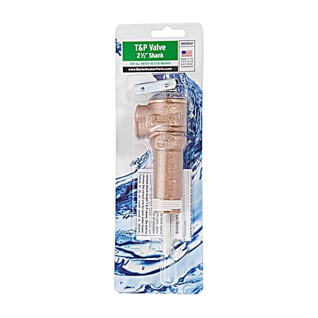 2.5 in T & P Valve