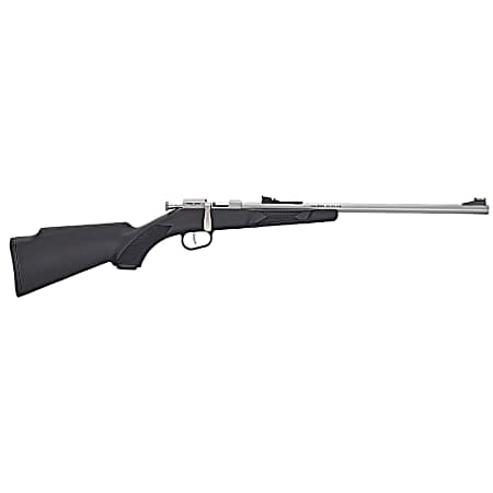 Henry H005R Mini Bolt  Youth 22 S/L/LR 1rd 16.25 Matte Stainless Steel Barrel, Matte Drilled & Tapped Stainless Steel Receiver, Black Fixed w/Pistol Grip Synthetic Stock, Right Hand