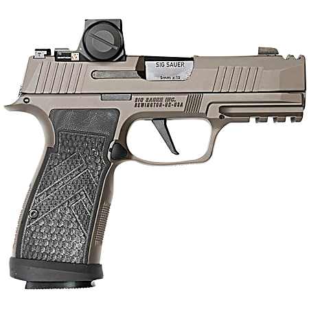 Sig Sauer 365AXGCA9LEGIONRXX P365 AXG Legion ROMEO-X 9mm 17+1 3.10 Compact Frame Legion Gray Cerakote Stainless Steel Slide G-10 Grip
