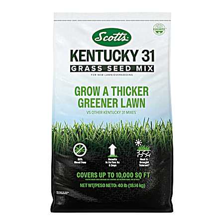Kentucky 31 Grass Seed Mix 40 lbs.