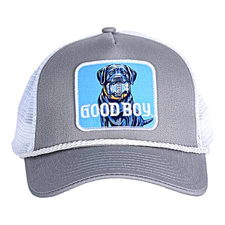 Men's Gray Good Boys Lab Can Cap
