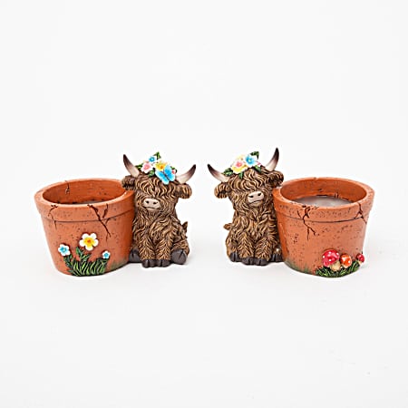 Highland Cow with Planter Assorted