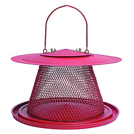 Cardinal NO/NO Wild Bird Feeder