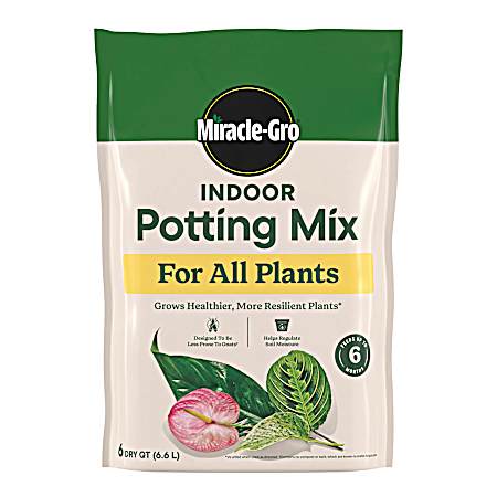 6 qt Indoor Potting Mix