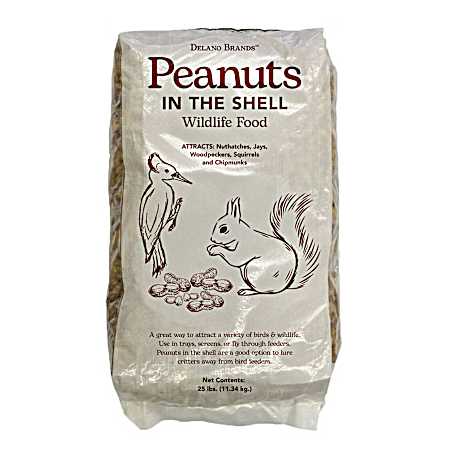 Shell Peanuts - 25 lb.