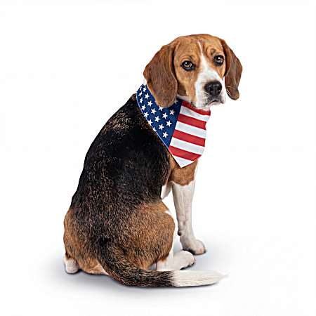 Large / XL Tie Back Pet Bandanas