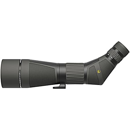 LEU 185679 SX-4 PRO GUIDE HD G2 20-60X85M ANGLD