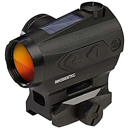 SIG SOR43031 ROME04 1X20 BCD SOL 2MOA