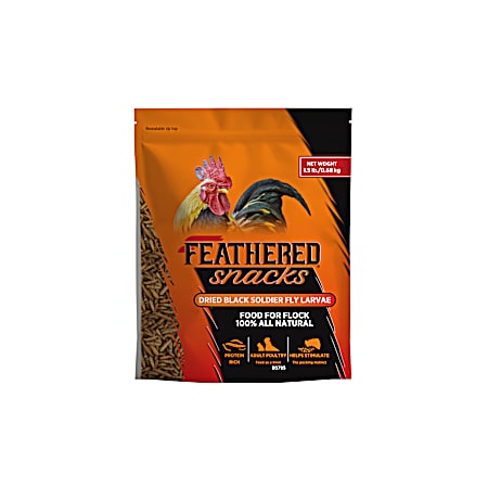1.5 Lbs. Black Soldier Fly Larvae