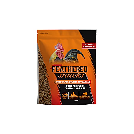 4.5 Lbs. Black Soldier Fly Larvae