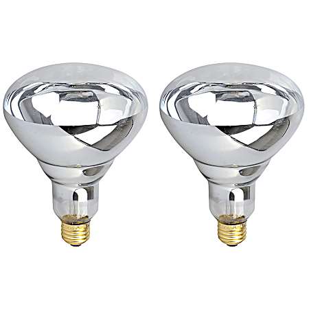 2Pc. R40 250W Heat Lamp Bulb