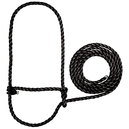 Rope Halter, Calf