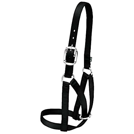 Barn Cow Halter - Black