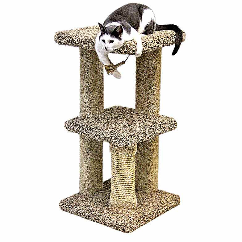 Cat Trees Condos Pets Wild Bird at Fleet Farm