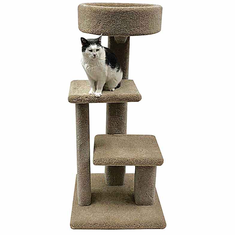 Brands Beatrise Pet Products at Fleet Farm
