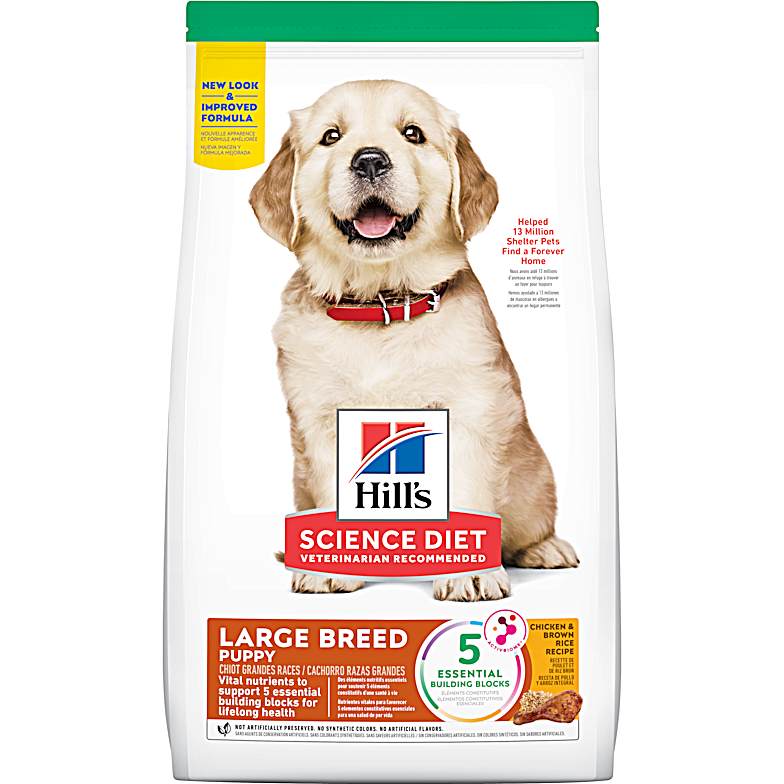 best fromm dog food for skin allergies Fromm Classic Adult Formula Dry Dog Food