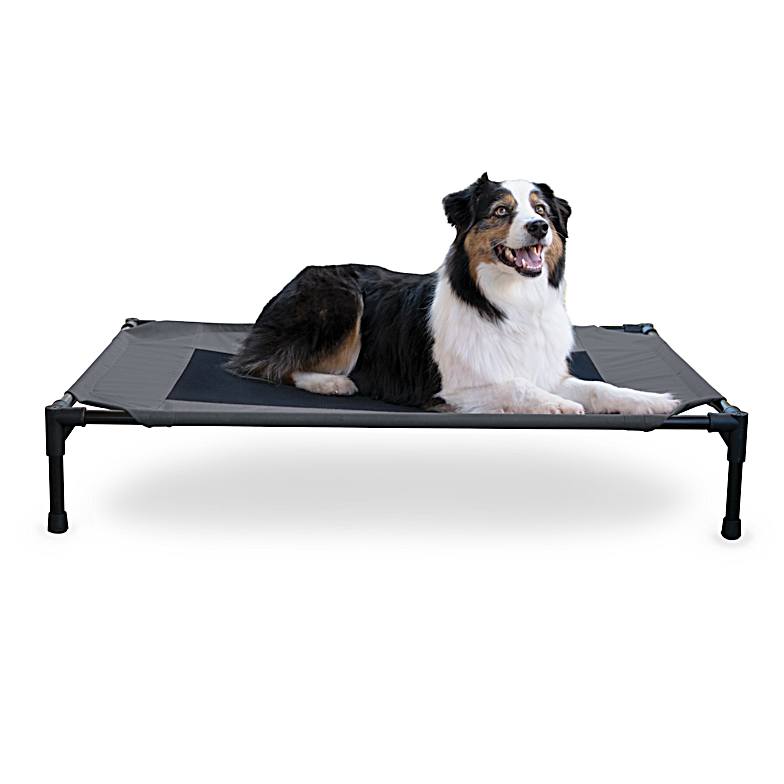 Farm and fleet dog bed clearance