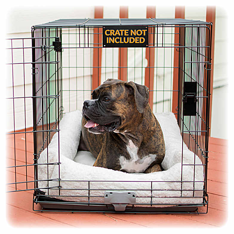 Farm and fleet dog beds clearance
