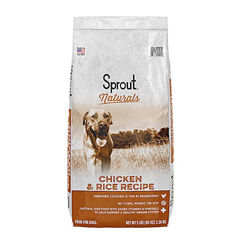Dry dog food brands on sale
